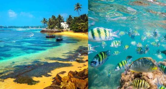 මෙරට මුහුදු පද්ධතිය අනතුරේද?